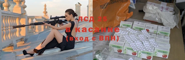 гашик Аркадак