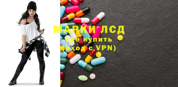 гашик Аркадак